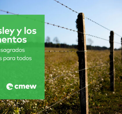 Wesley y los alimentos: dones sagrados de Dios para todos